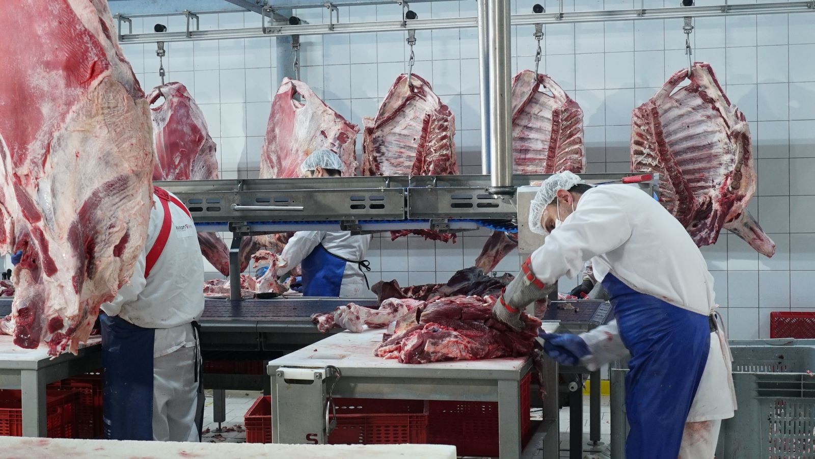 Veteriner Kontrolünde Kurbanlıklar