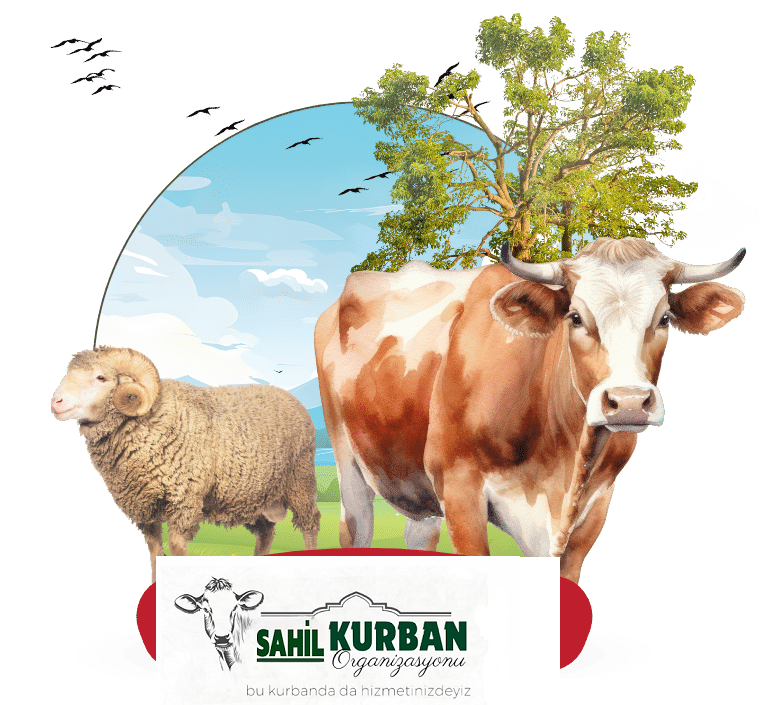 Kâr amacı gütmeyen kuruluş